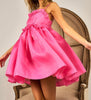 The Barbie Dress: Ruffled Edge Sweet Heart Neck Sleeveless Tulle Mini Dress - MomQueenBoutique